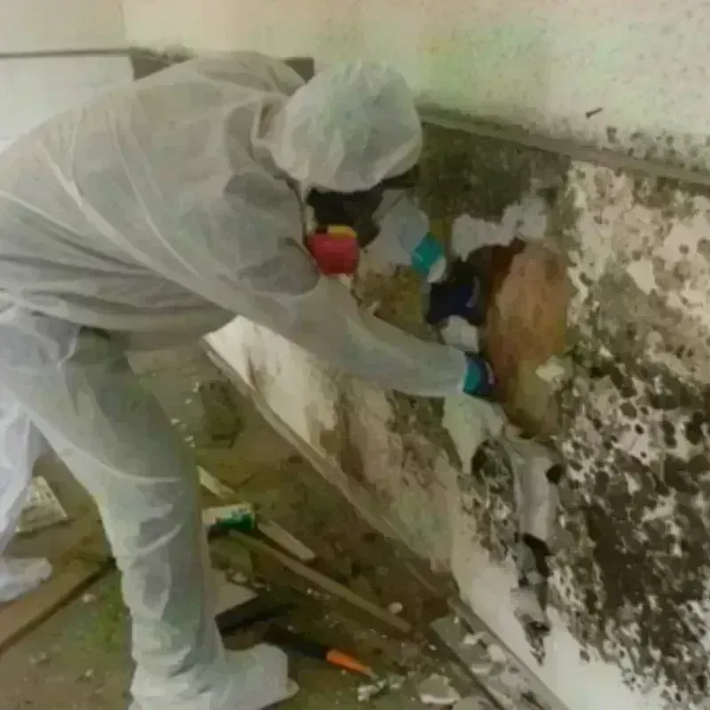 Mold Remediation and Removal in Latimer County, OK