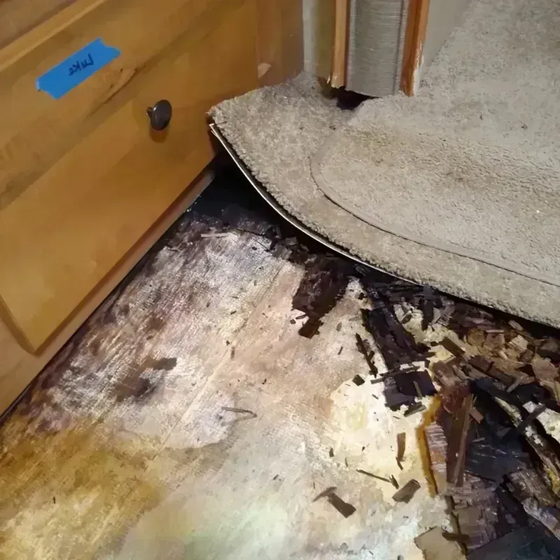 Best Wood Floor Water Damage Service in Latimer County, OK